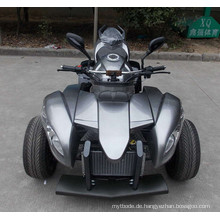 250ccm ATV EEC Approved Road Legal Quad Fahrräder für 2 Passagiere